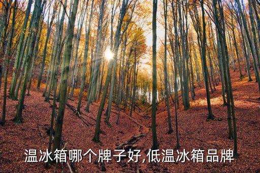 超低温冰箱哪个牌子好,低温冰箱品牌