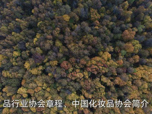 化妆品行业协会章程、中国化妆品协会简介