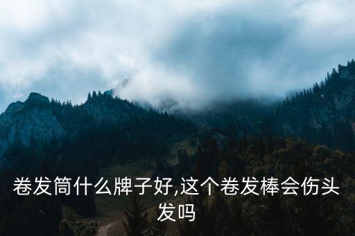 塑料卷发筒什么牌子好,这个卷发棒会伤头发吗?