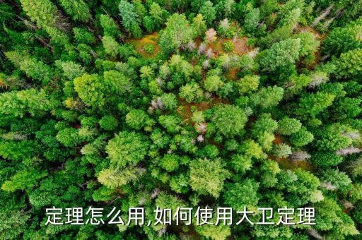 韦达定理怎么用,如何使用大卫定理?