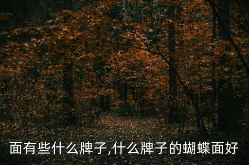 面有些什么牌子,什么牌子的蝴蝶面好