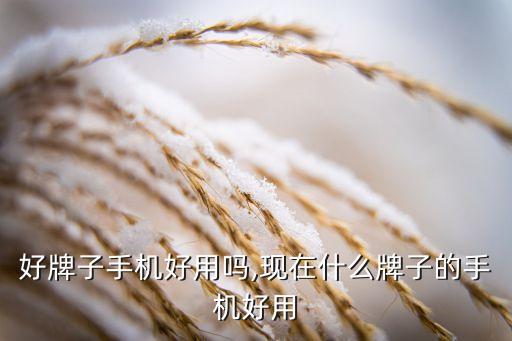 现在好牌子手机好用吗,现在什么牌子的手机好用?