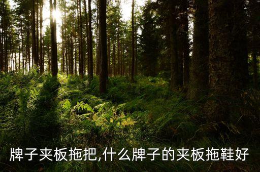 什么牌子夹板拖把,什么牌子的夹板拖鞋好?