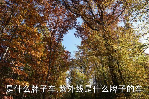 是什么牌子车,紫外线是什么牌子的车
