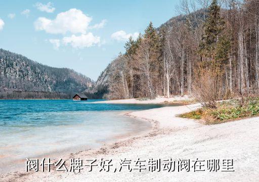 阀什么牌子好,汽车制动阀在哪里