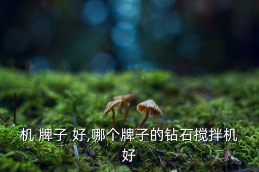 搅拌机 牌子 好,哪个牌子的钻石搅拌机好?