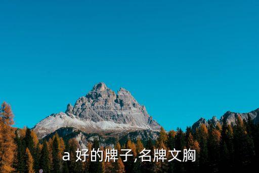 bra 好的牌子,名牌文胸