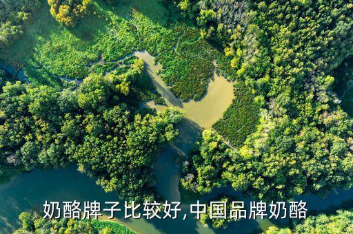 奶酪牌子比较好,中国品牌奶酪