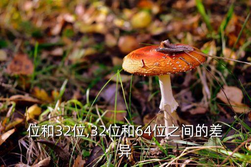 位和32位,32位和64位之间的差异