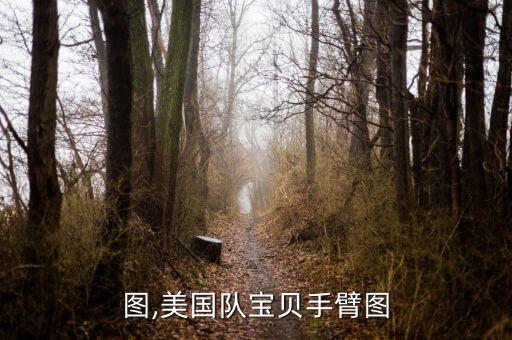 手臂图,美国队宝贝手臂图