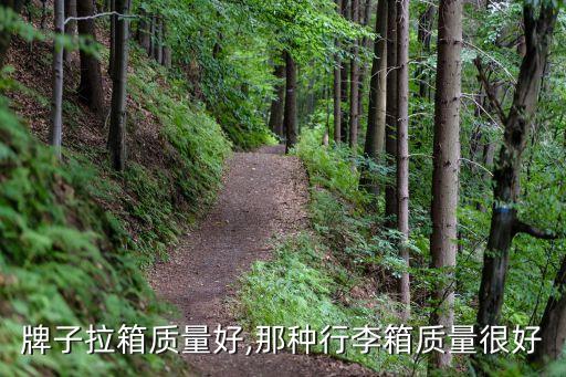 牌子拉箱质量好,那种行李箱质量很好
