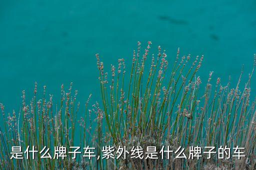 uv是什么牌子车,紫外线是什么牌子的车?
