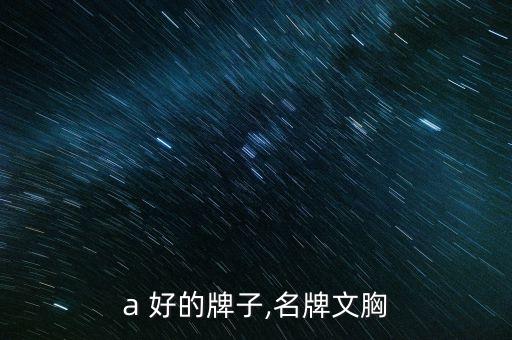 a 好的牌子,名牌文胸