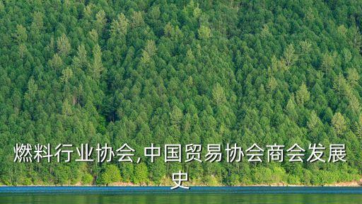 生物燃料行业协会,中国贸易协会商会发展史