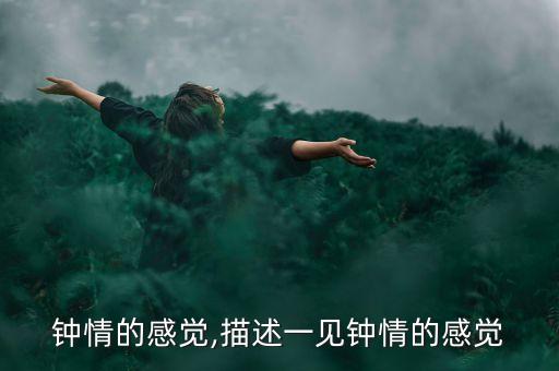 一见钟情的感觉,描述一见钟情的感觉