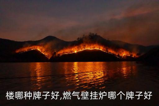 壁挂楼哪种牌子好,燃气壁挂炉哪个牌子好?