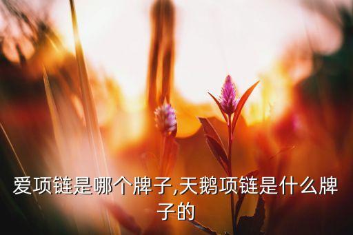 无限爱项链是哪个牌子,天鹅项链是什么牌子的?