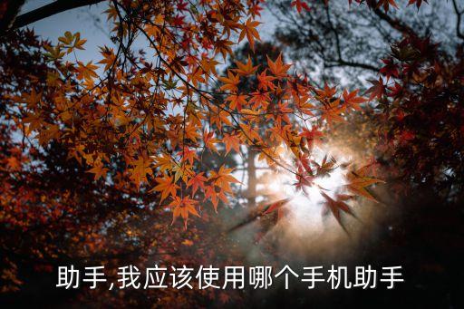 豌豆助手,我应该使用哪个手机助手?