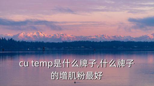 cu temp是什么牌子,什么牌子的增肌粉最好