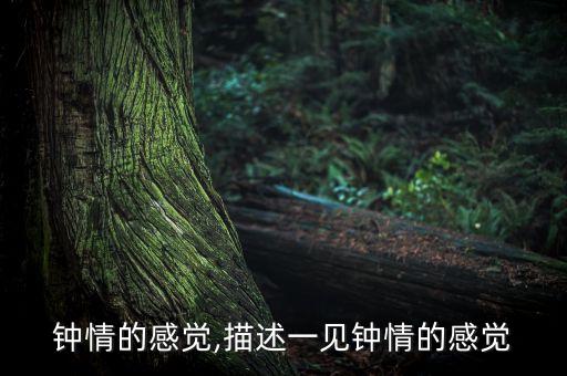 钟情的感觉,描述一见钟情的感觉