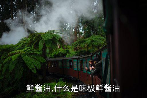 味极鲜酱油,什么是味极鲜酱油?