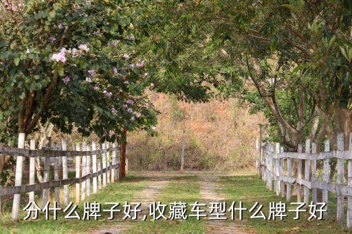 分什么牌子好,收藏车型什么牌子好
