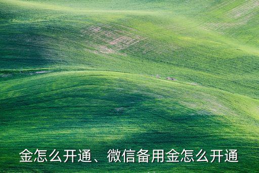金怎么开通、微信备用金怎么开通