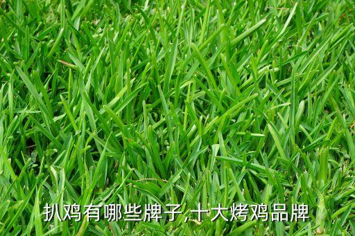 德州扒鸡有哪些牌子,十大烤鸡品牌