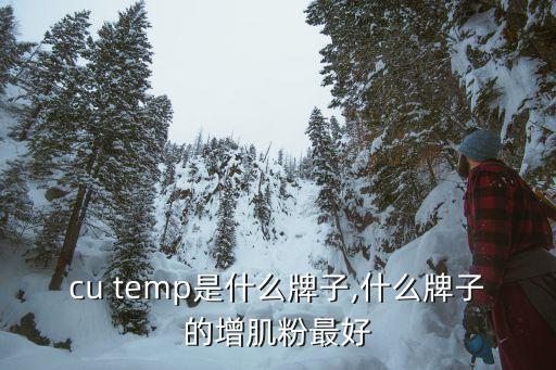accu temp是什么牌子,什么牌子的增肌粉最好?