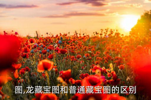 图,龙藏宝图和普通藏宝图的区别