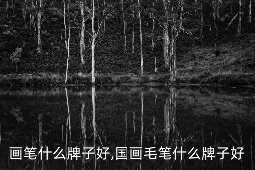 电子画笔什么牌子好,国画毛笔什么牌子好?