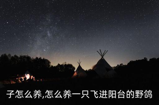 野鸽子怎么养,怎么养一只飞进阳台的野鸽?