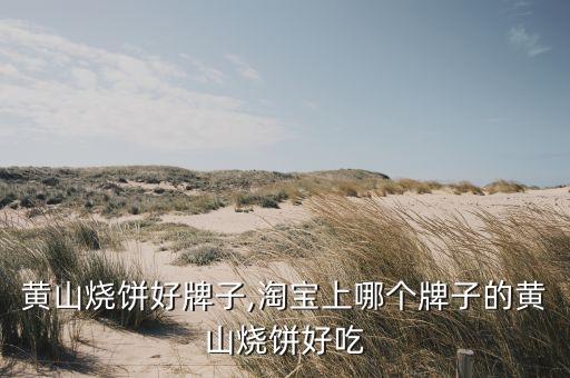 网上黄山烧饼好牌子,淘宝上哪个牌子的黄山烧饼好吃?