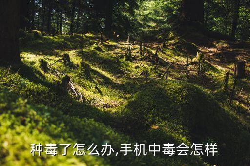 种毒了怎么办,手机中毒会怎样