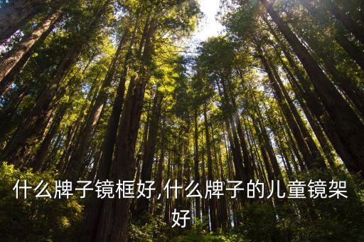 儿童什么牌子镜框好,什么牌子的儿童镜架好?
