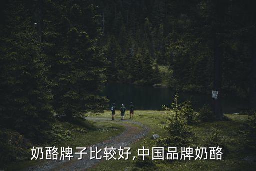 奶酪牌子比较好,中国品牌奶酪