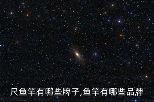 十八尺鱼竿有哪些牌子,鱼竿有哪些品牌?