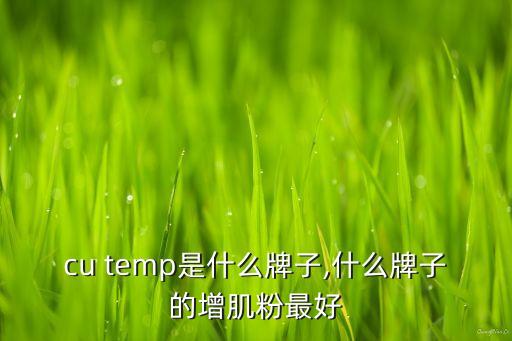 cu temp是什么牌子,什么牌子的增肌粉最好