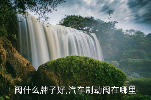 刹车阀什么牌子好,汽车制动阀在哪里?
