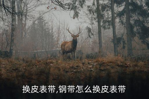 换皮表带,钢带怎么换皮表带