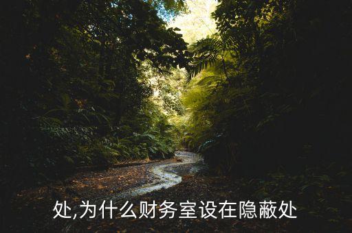 处,为什么财务室设在隐蔽处