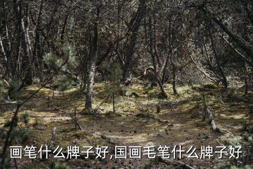 画笔什么牌子好,国画毛笔什么牌子好