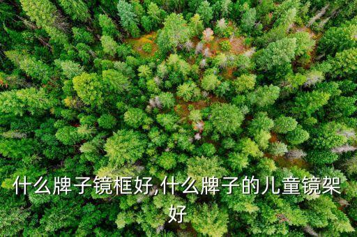 什么牌子镜框好,什么牌子的儿童镜架好