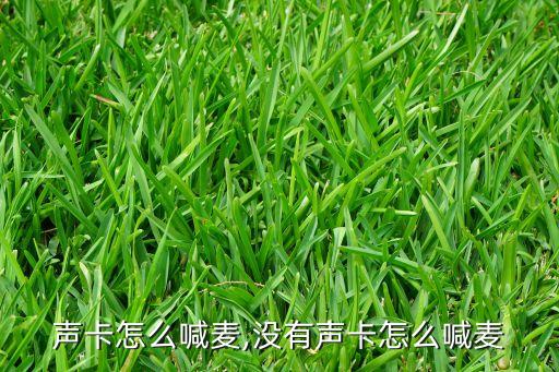 不用声卡怎么喊麦,没有声卡怎么喊麦?