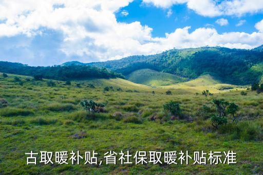 内蒙古取暖补贴,省社保取暖补贴标准