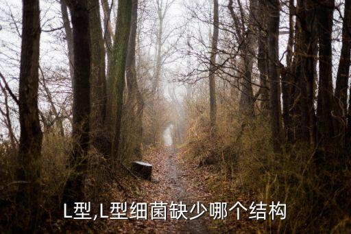 L型,L型细菌缺少哪个结构