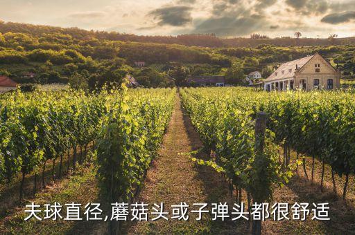 高尔夫球直径,蘑菇头或子弹头都很舒适