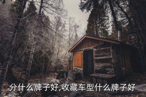 车模分什么牌子好,收藏车型什么牌子好?