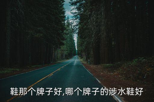 鞋那个牌子好,哪个牌子的涉水鞋好