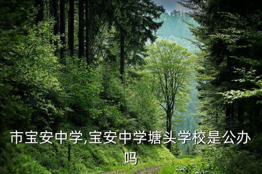 深圳市宝安中学,宝安中学塘头学校是公办吗?